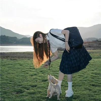 九霄龙吟传